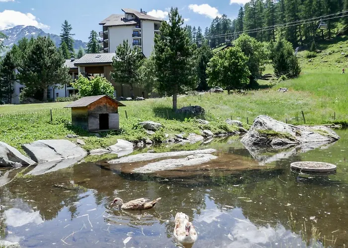 Mont 43 By Interhome * Siviez